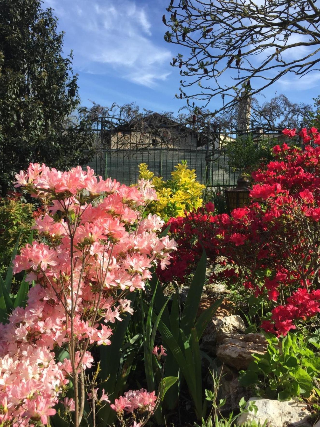 Le Bricolle Villa Viggiù Buitenkant foto